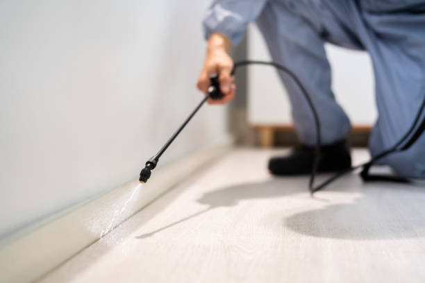 Licensed Pest Control service in Allen Park, MI - Show Me Pest Control