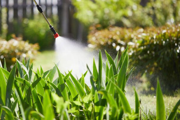 24/7 Emergency Mosquito Control experts in Allen Park, MI