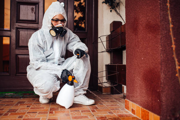 Reliable Mosquito Control contractor in Allen Park, MI by Show Me Pest Control