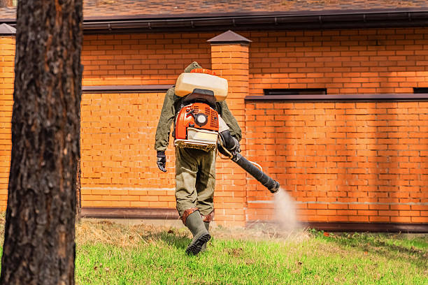 Top rated local Mosquito Control specialists in Allen Park, MI